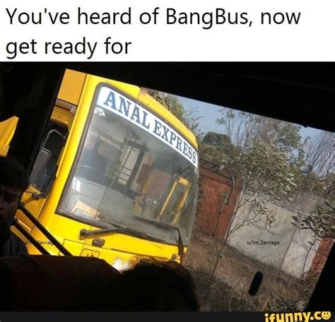 bangbus brazilian